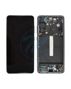 (Refurbished) Samsung S21 FE (with Frame) Replacement Part - Graphite